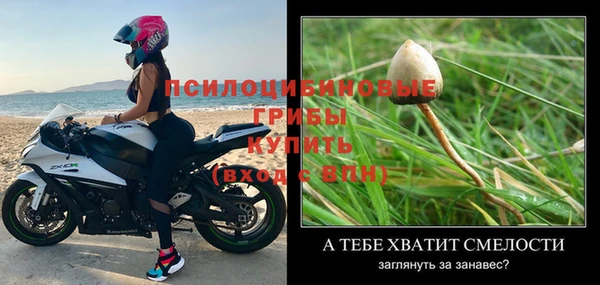 соль ск Алексин