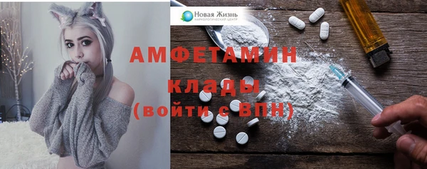прущий лед Пересвет