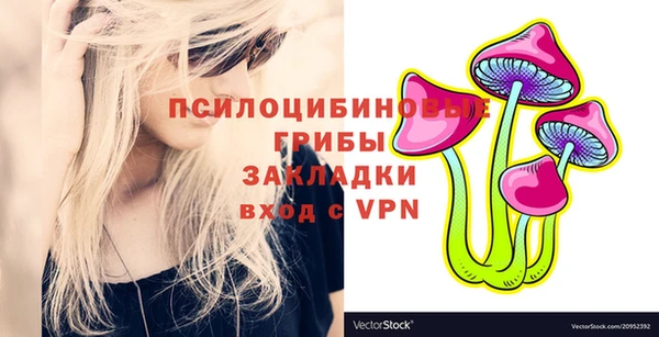 apvp Алзамай
