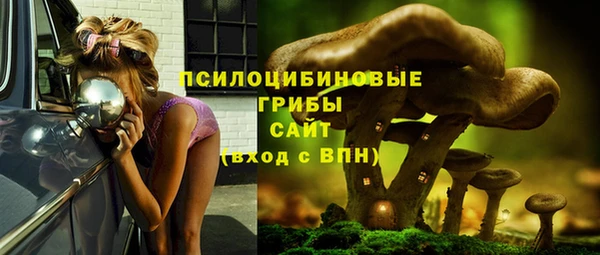 соль ск Алексин