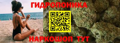 шишки Тула