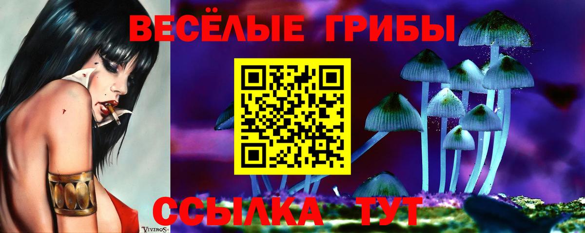 Псилоцибиновые грибы Cubensis  Псилоцибиновые грибы прущие грибы  Вход с VPN  Канск 