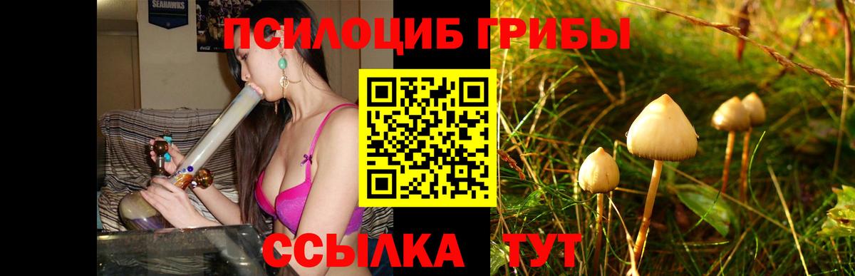 Галлюциногенные грибы прущие грибы Канск